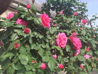 258c6e5ee0b14554b2d7fad98966d64748e18e8f.jpg